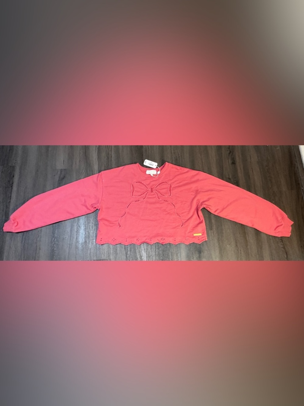 Pink Bow Embroidered Cropped Sweatshirt XS NWT Eyelet Scallop Hem - Picture 2 of 11